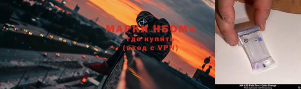 сатива Алзамай