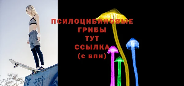 спиды Арсеньев