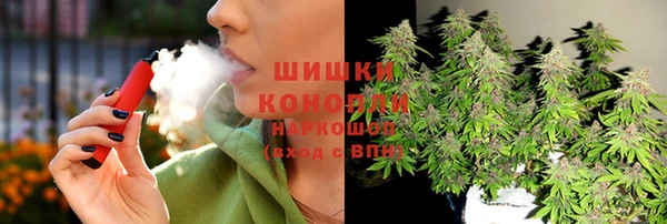 сатива Алзамай